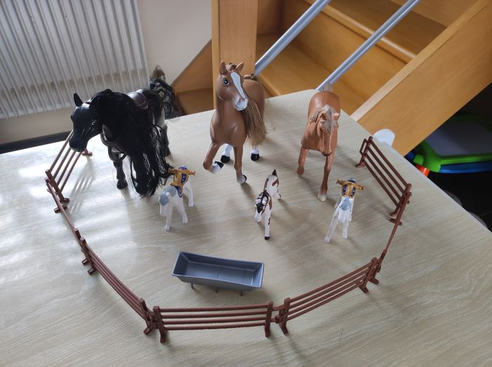 Lot de chevaux + barrières