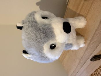 Peluche interactive Chien husky