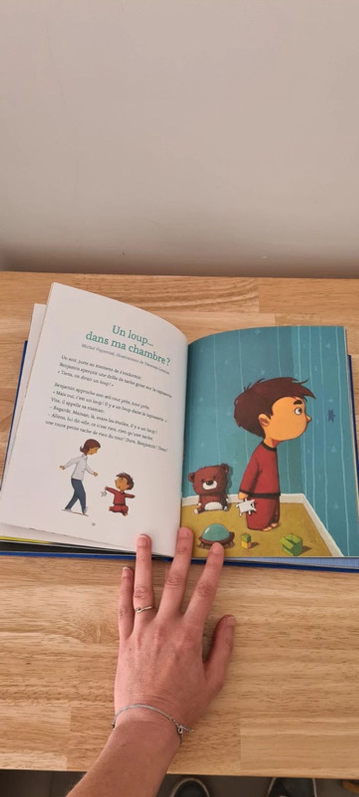 Livre Petites Histoires du Père Castor - photo numéro 3