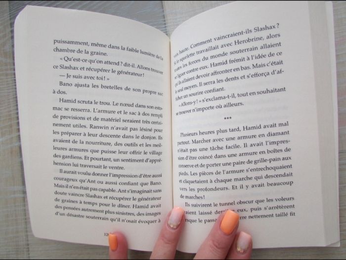 Livre Minecraft Tome 1 Descente dans l'Overworld - photo numéro 4