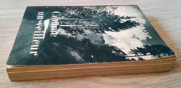 Luvovic Giraud - comme un veilleur propos pour le septième jour - photo numéro 3