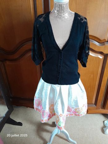 Jupe brodée gilet morgan