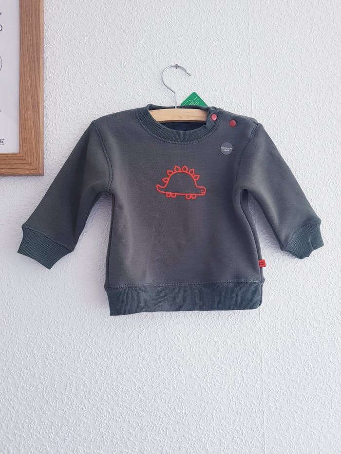Zeeman - Sweat / pull col rond, longues manches - Dinosaure - Neuf avec étiquette ! (9 mois)