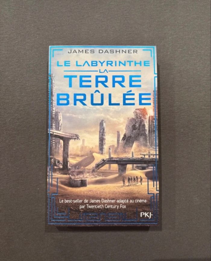 Livres  Le  Labyrinthe - photo numéro 2