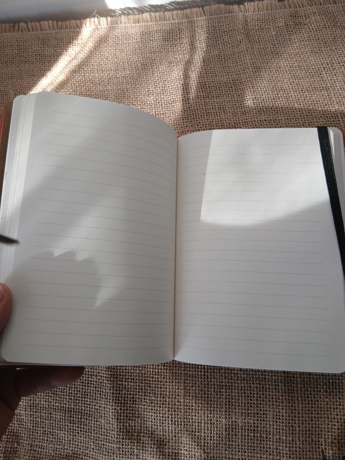 Carnet éléphant - photo numéro 3