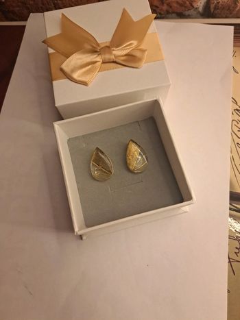 Boucles d'oreilles à clips en résine