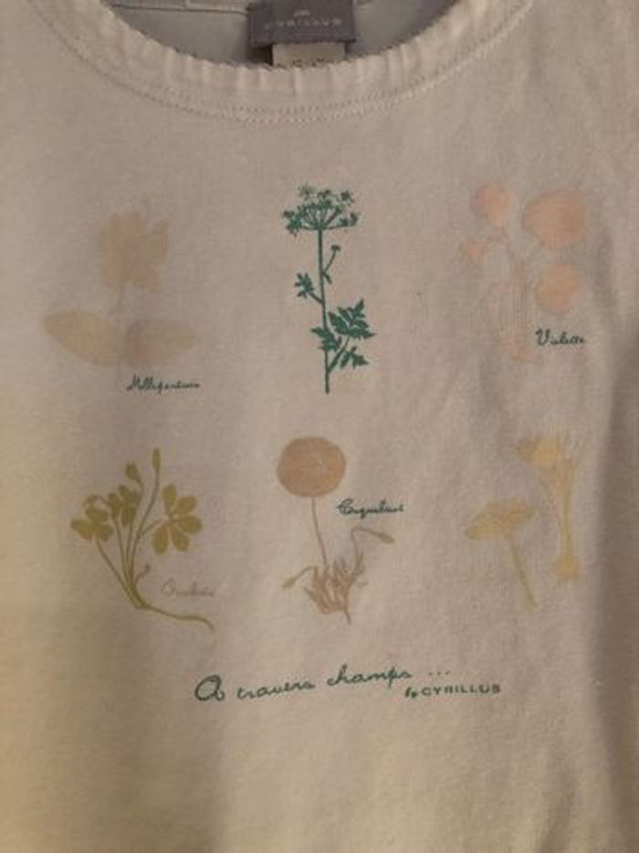 Tee shirt Cyrillus 8 ans (126 cm) - photo numéro 2