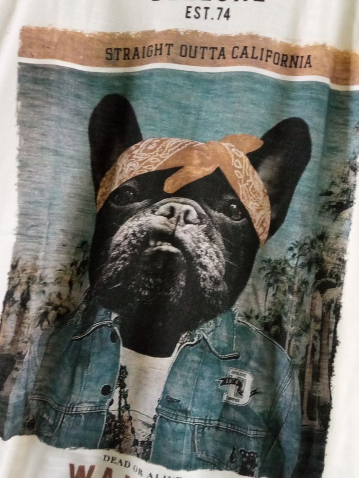 Tee-shirt - photo numéro 2