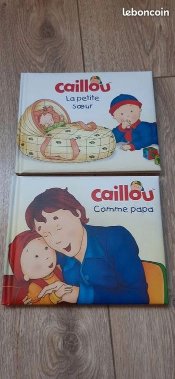 Lot de 2 livres "Caillou" état neuf