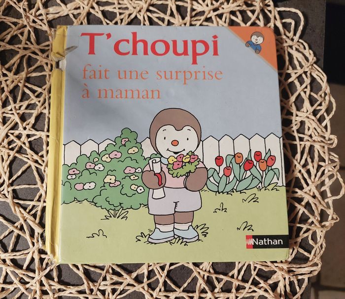 Lot de 2 Livres T'choupi – Des Histoires Tendres et Amusantes pour les Petits ! - photo numéro 3