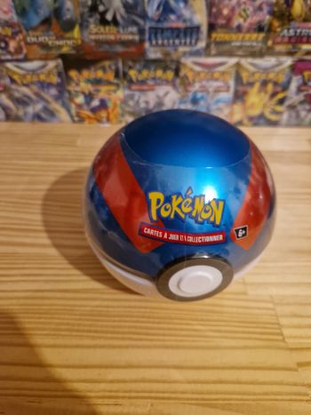 Pokémon Pokéball super sceller français