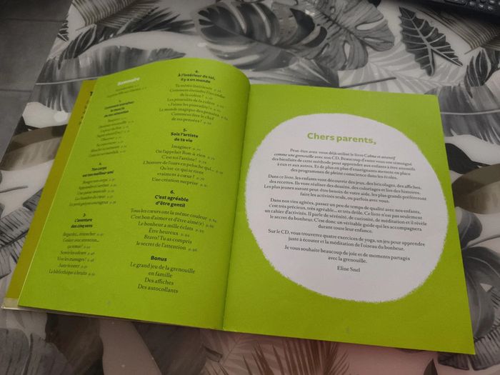 Livre avec CD calme et attentif comme une grenouille - photo numéro 3