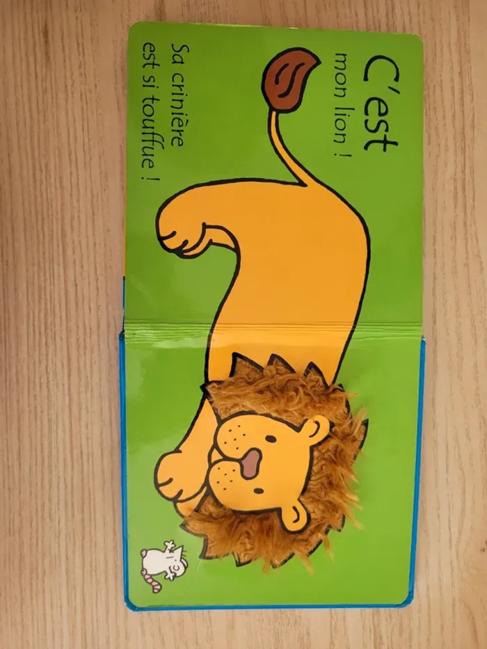 Où est mon lion? - photo numéro 9