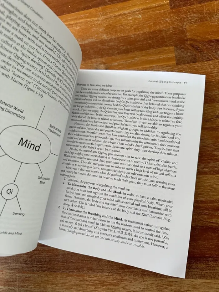 Livre qigõng grand circulation fort spiritual - photo numéro 6