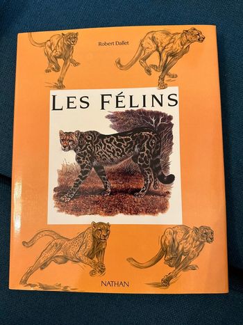 Robert Dallet album rare Nathan livre Les félins fauves animaux savane Afrique Asie