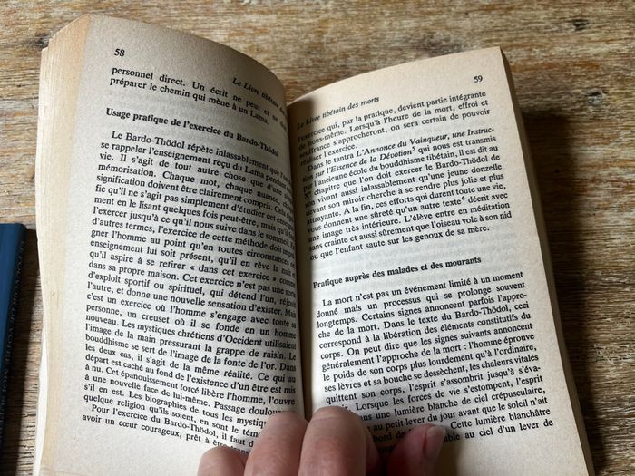 Le livre tibétain des morts - photo numéro 2