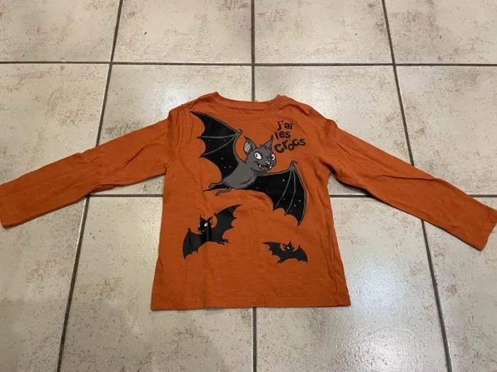 Teeshirt manches longues La Halle 5-6ans chauve souris