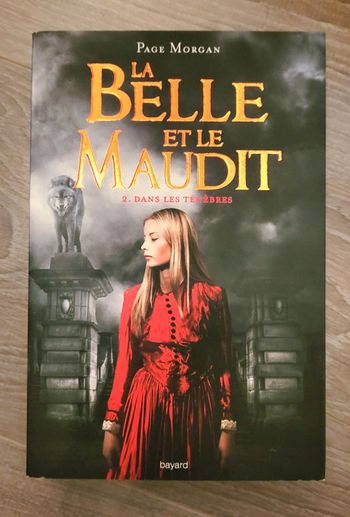 Livre "La Belle et le Maudit" Page Morgan