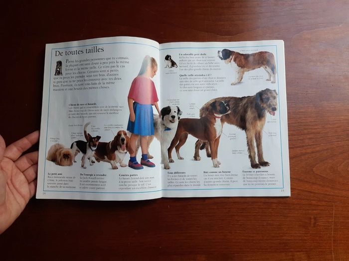 Livre un guide pratique pour tout savoir sur ton chien - photo numéro 3