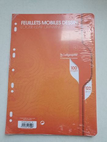 100 feuillets mobiles destinés 21x29.7 perfores