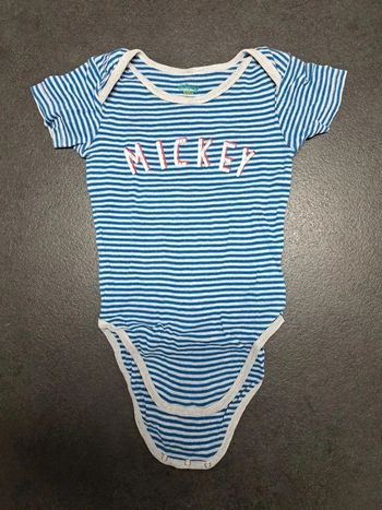 Lot 2  bodies