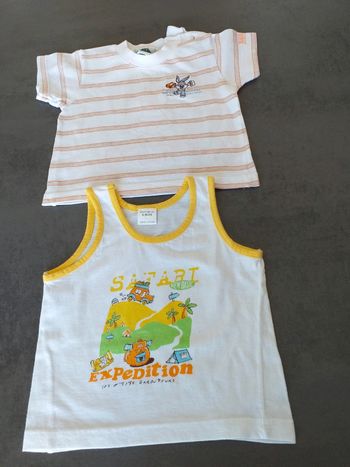 Deux tee-shirts garçons
