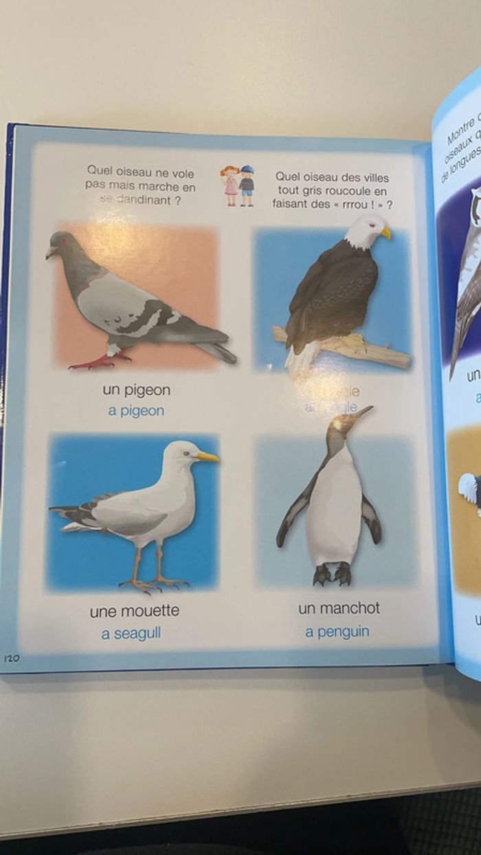 L’imagerie Francais Anglais - photo numéro 3