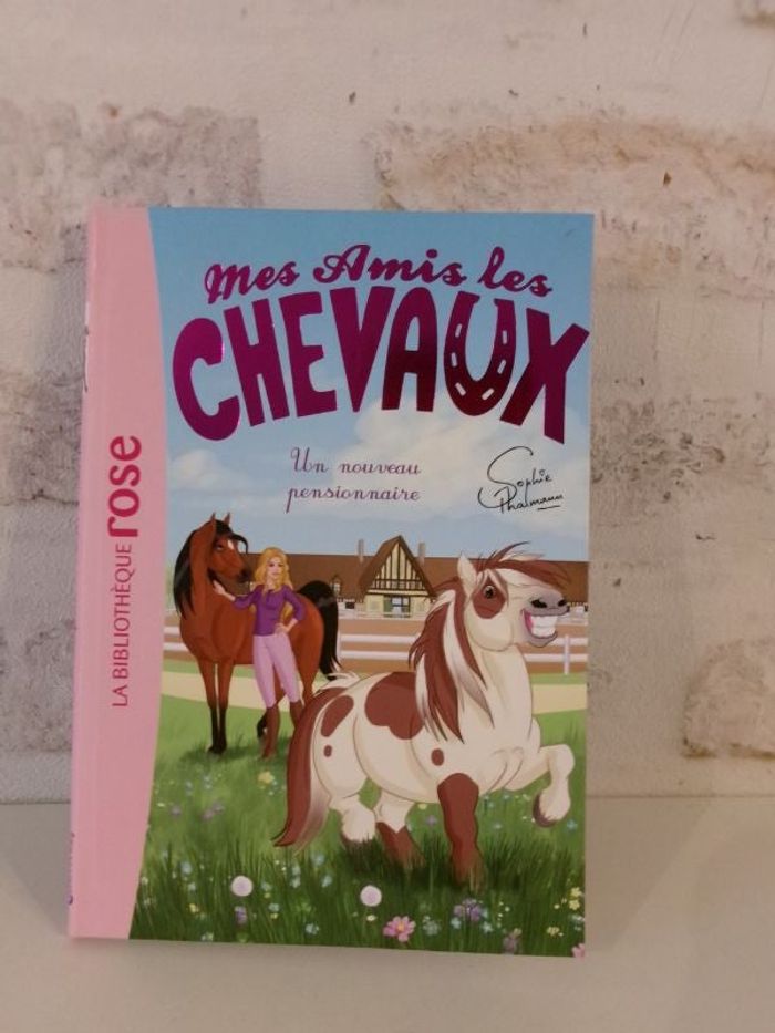 Livre enfant - Mes amis les chevaux
