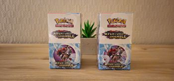 ⚡️Pokémon demi display "aventures ensemble" - EV09 