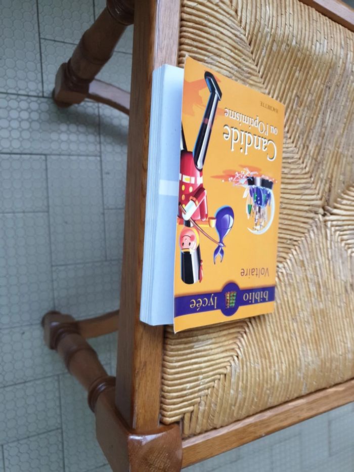 Candide ou l'optimisme de Voltaire éditions Hachette ( biblio lycée) - photo numéro 7