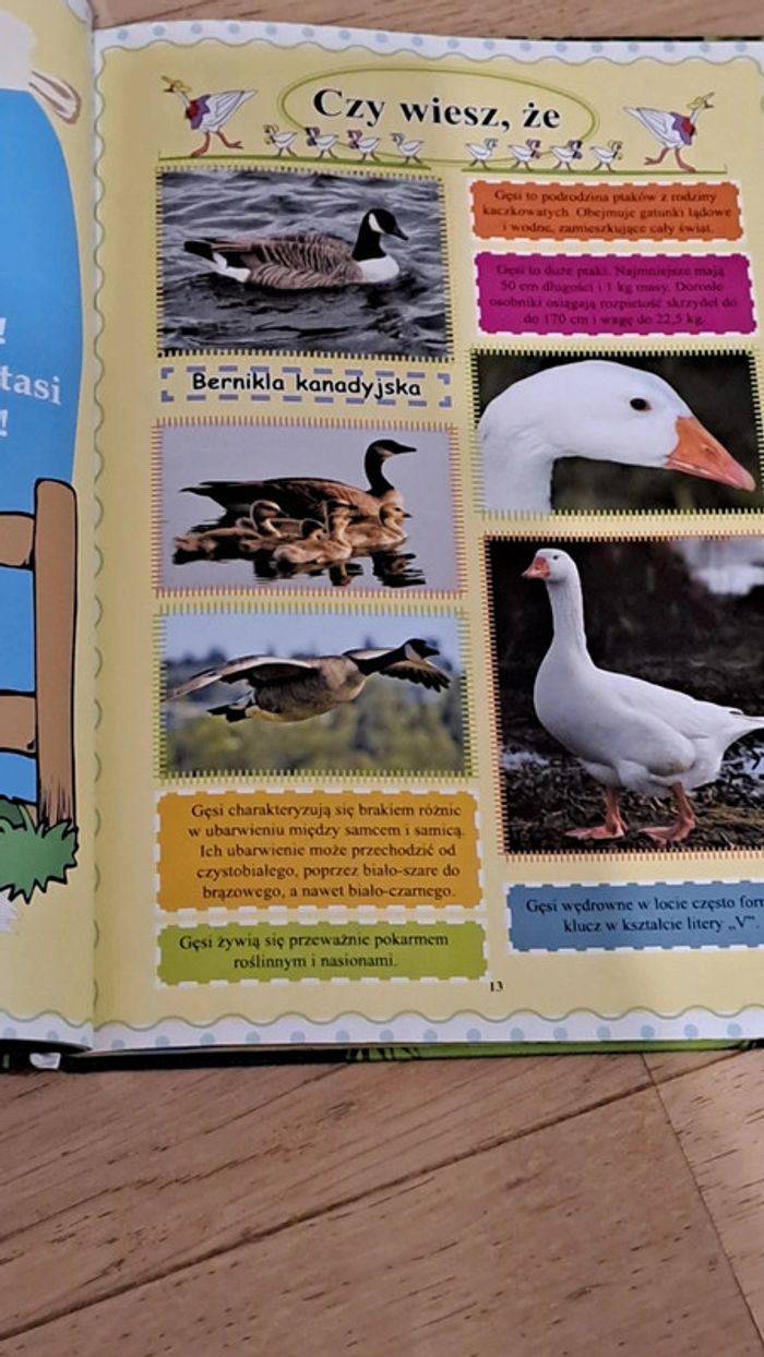 Livre enfants en polonais - photo numéro 2