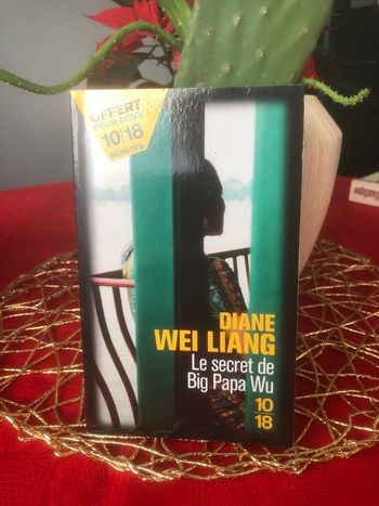 Le secret de big papa Wu - Diane Wei Liang