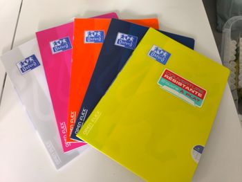 Lot 5 cahiers neufs 21 x 29,7cm 96 pages grands carreaux