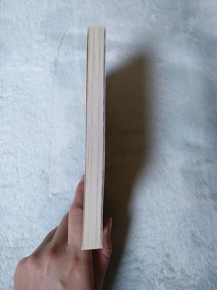 Livre Grand Galop tome 1 - photo numéro 4