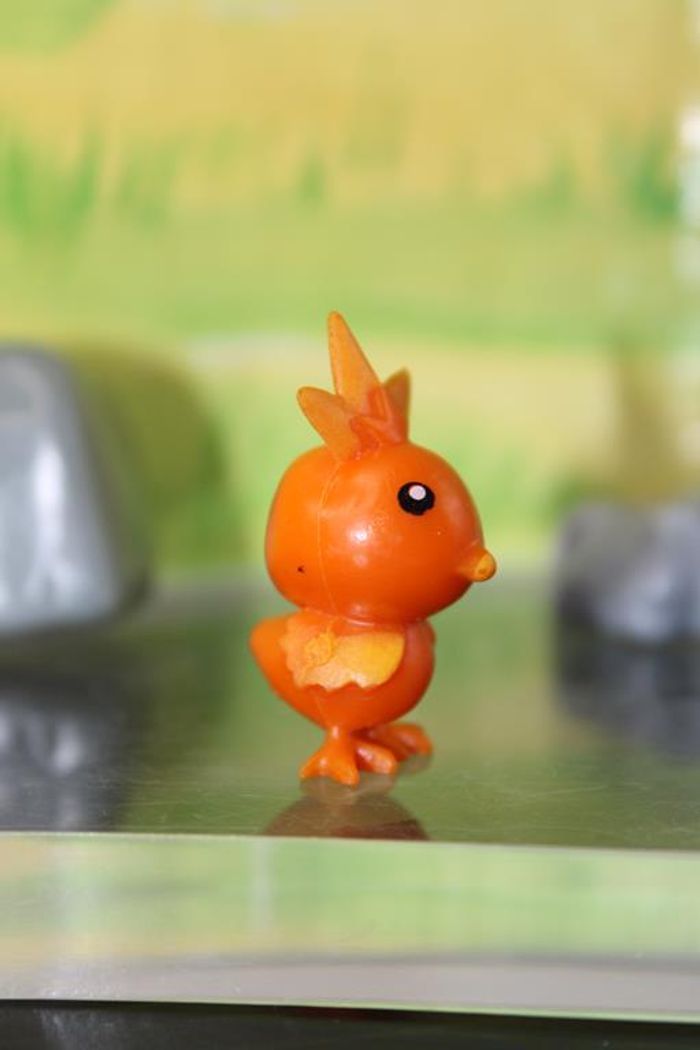 Pokemon Poussifeu - photo numéro 3