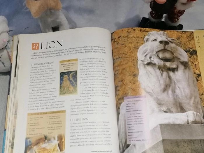 Livre astrologique - photo numéro 13