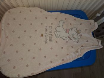 2 gigoteuse  0/6 mois