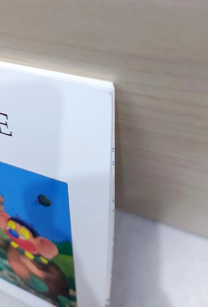 🌺 Livre (école des loisirs) : Pétronille - photo numéro 8