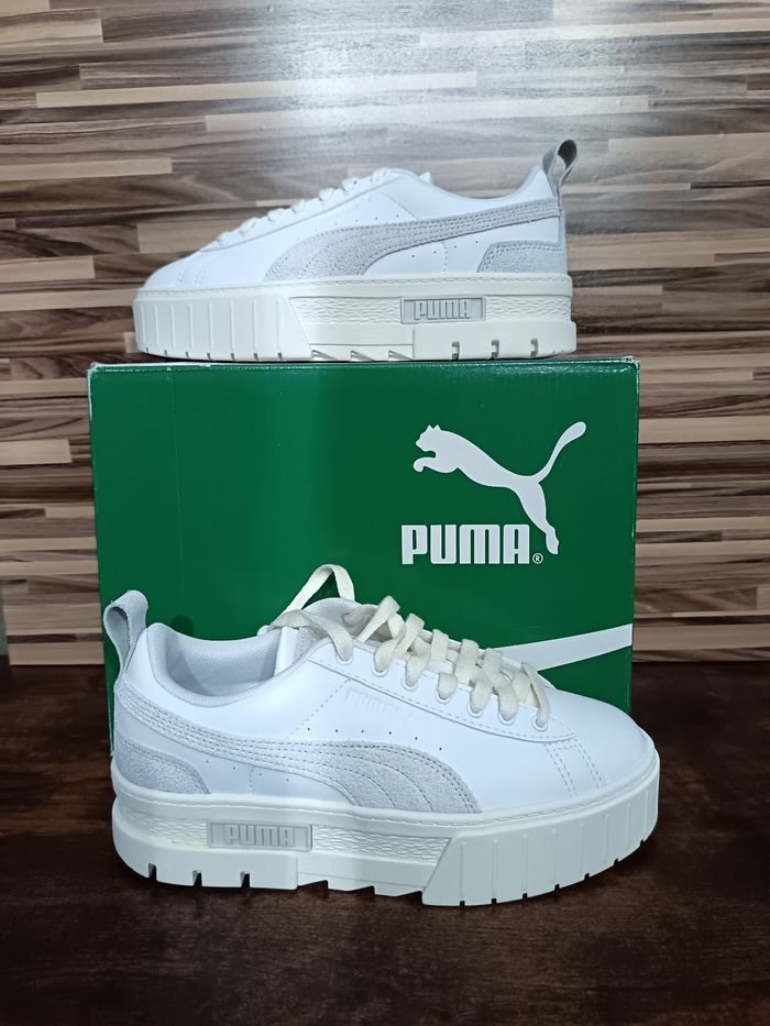 Basket puma