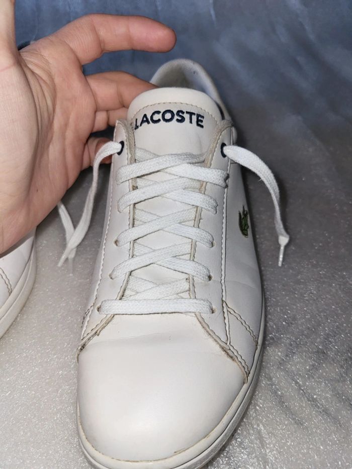Basket lacoste - photo numéro 5