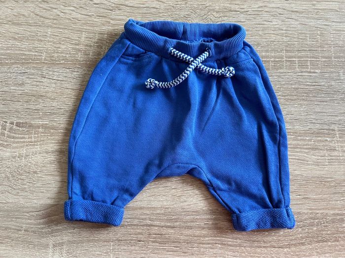 Ensemble - 1 mois - photo numéro 2