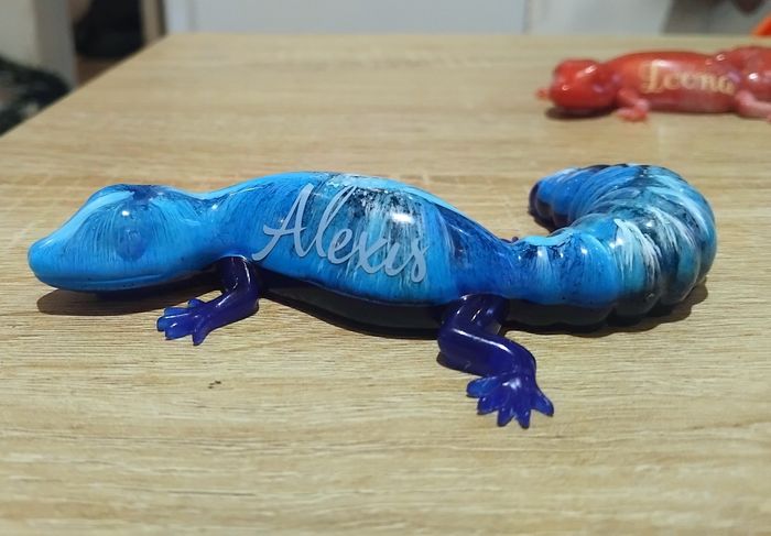 Salamandre personnalisée - photo numéro 2