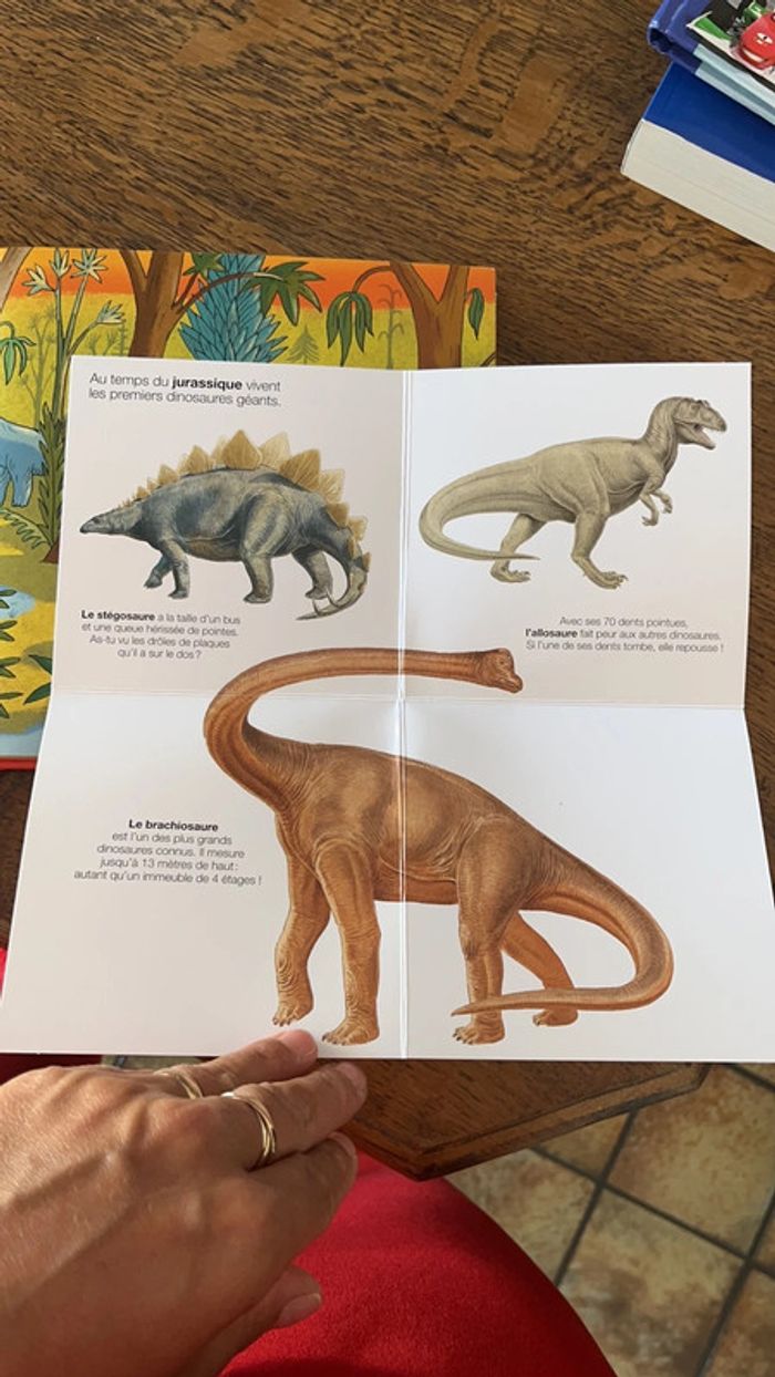 Livre kdidoc dinosaure - photo numéro 2