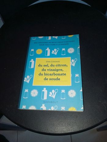Shea zukowki : du sel, du vinaigre, du bicarbonate de soude