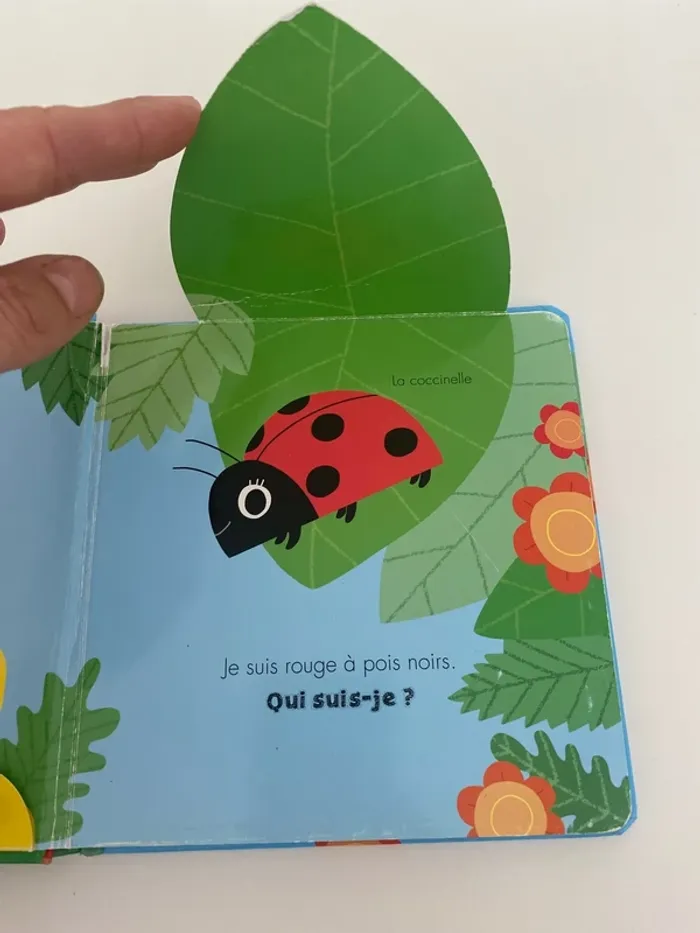 Livre Qui suis-je ? - photo numéro 3