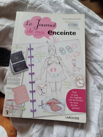 Le journal de moi enceinte