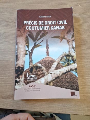 Précis de droit civil coutumier kank