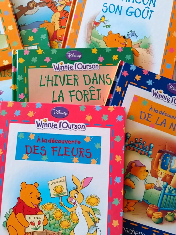 Winnie l'Ourson - photo numéro 4