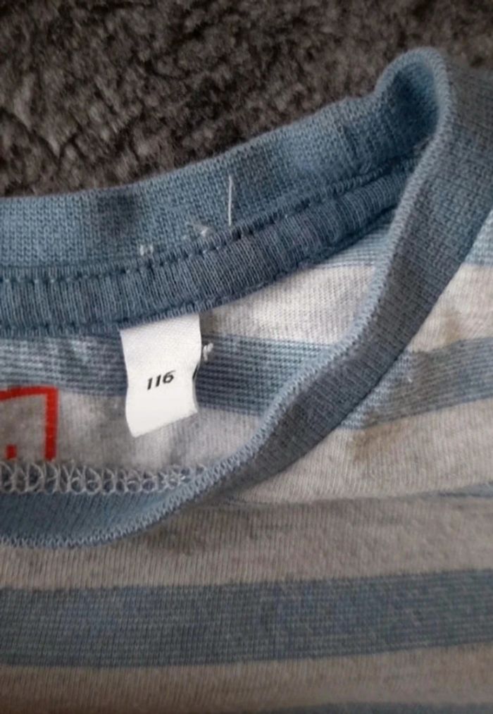 Tchirt palomino 6 ans - photo numéro 2