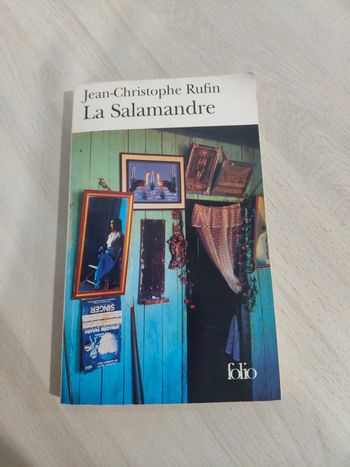 Livre poche la salamandre Rufin